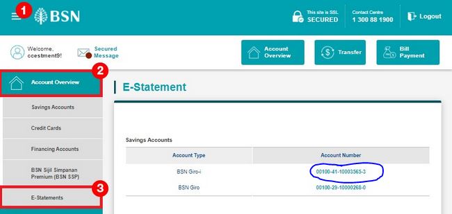 Cara Dapatkan Statement Bank BSN