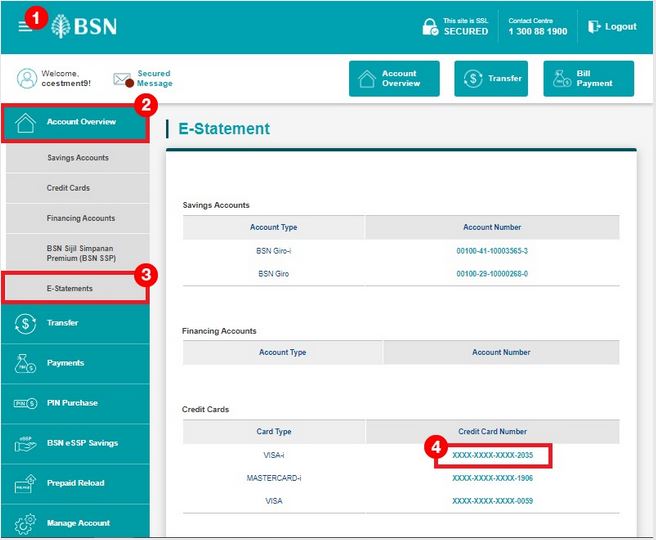 Semak Penyata Kad Kredit BSN